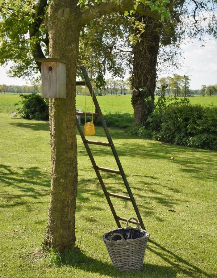 De Beddestee Ruinen Extérieur photo